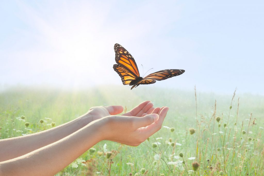 Faire écrire un livre sur sa vie par un biographe libère